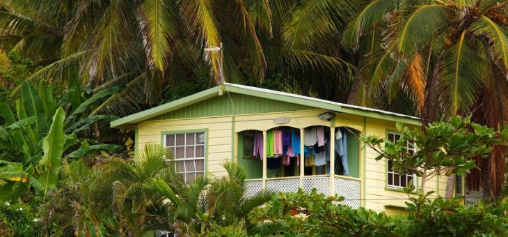 Meszki gryzą, ale boreliozy NIE przenoszą!