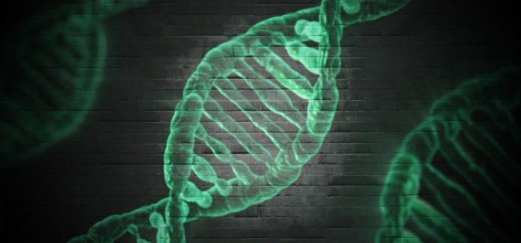 Co Borrelia ma wspólnego z białkiem OspA ?