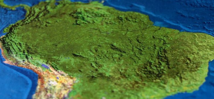 Nowe linie bakterii Borrelia odkryte poza Europą